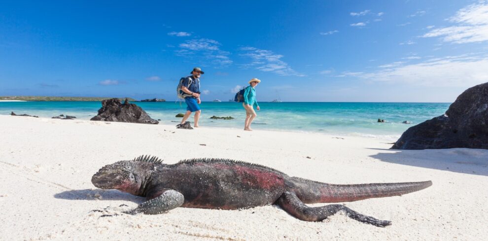 677196-1920×1080-desktop-1080p-galapagos-islands-wallpaper-image